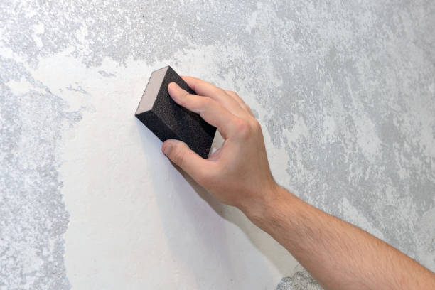 Best Environmental Consulting for Mold Prevention  in Monte Alto, TX