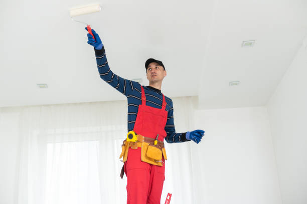 Best Mold Removal for HVAC Installations  in Monte Alto, TX